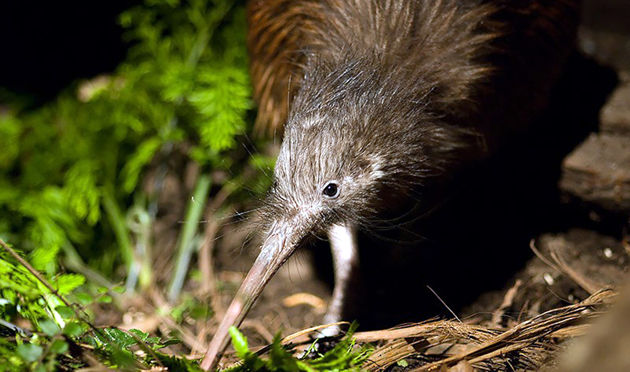 Steve Orana Wildlife Park Special Photo 1