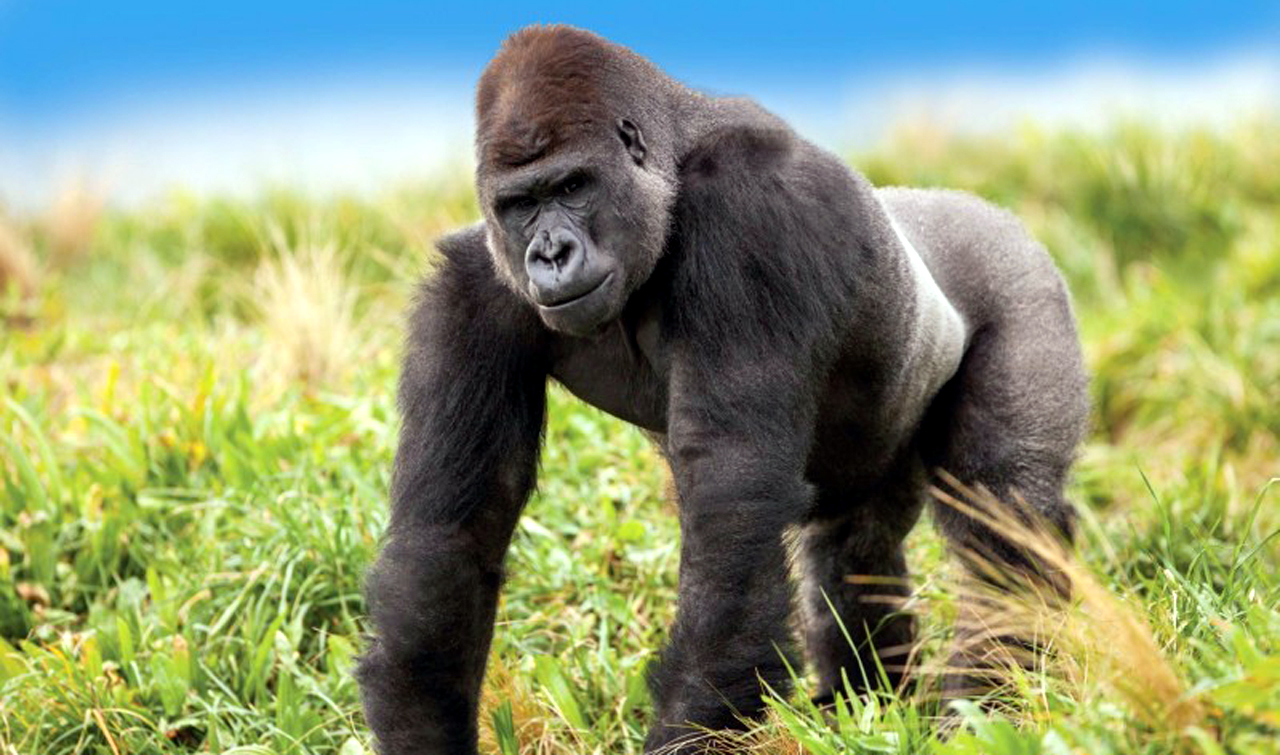Steve Orana Wildlife Park Special Photo 2