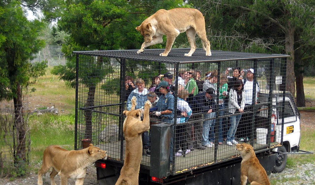 Orana Wildlife Park Photo 3