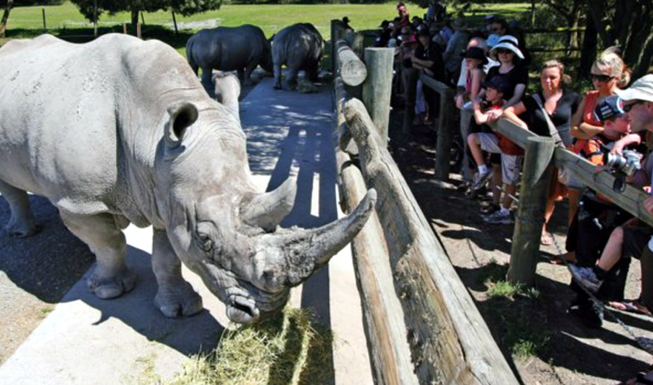 Orana Wildlife Park Photo 5